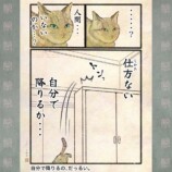 【漫画】人間の行動にネコはドン引き？の画像