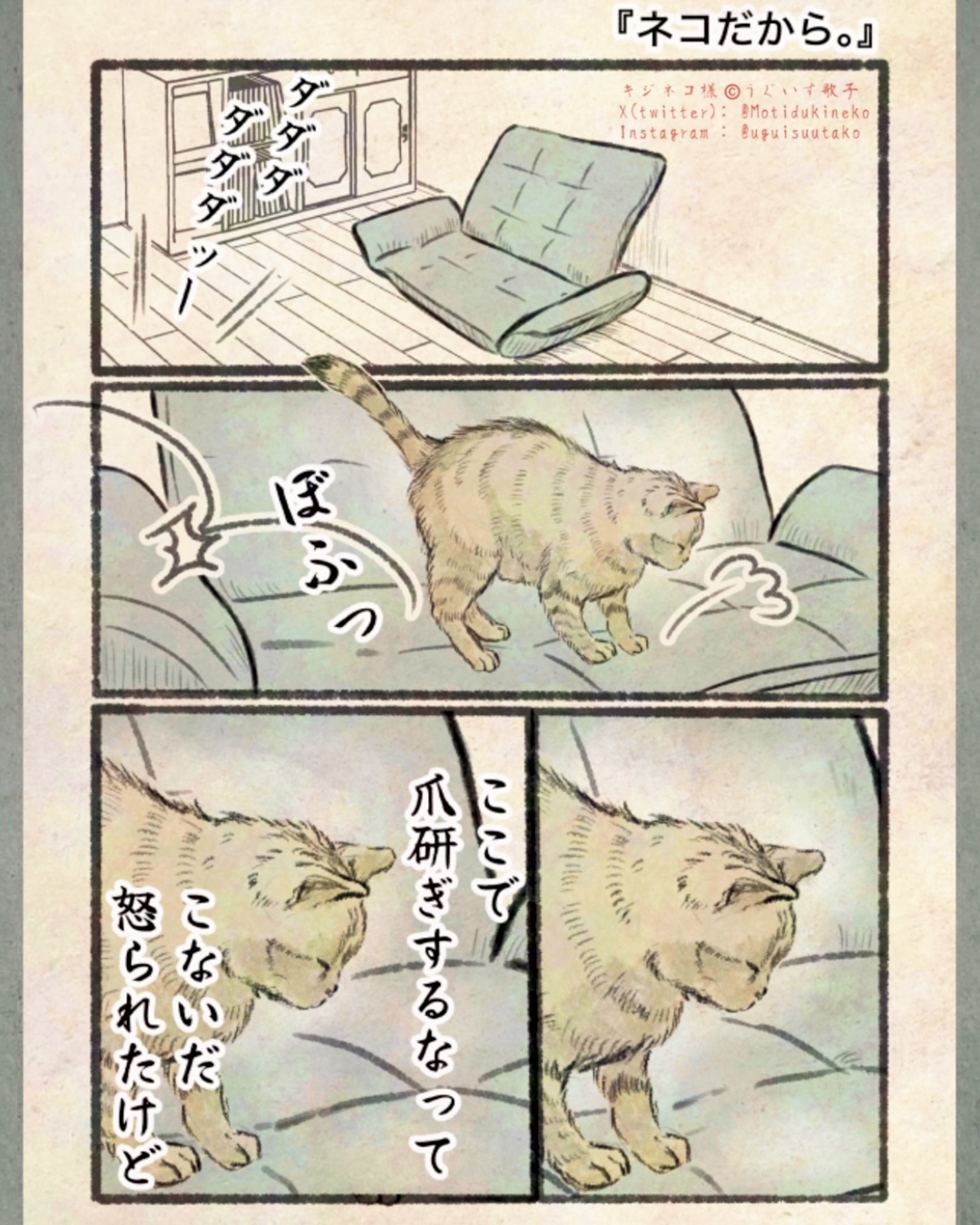 【漫画】人間の行動にネコはドン引き？の画像