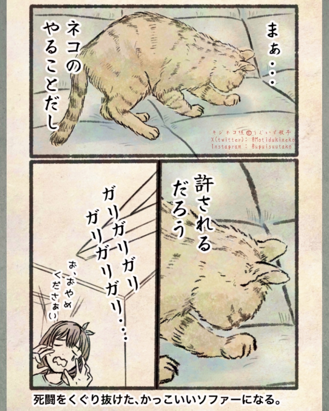 【漫画】人間の行動にネコはドン引き？の画像