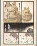 【漫画】人間の行動にネコはドン引き？の画像