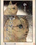 【漫画】人間の行動にネコはドン引き？の画像