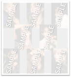 OCTPATH、1st写真集『Home』各種購入特典発表の画像