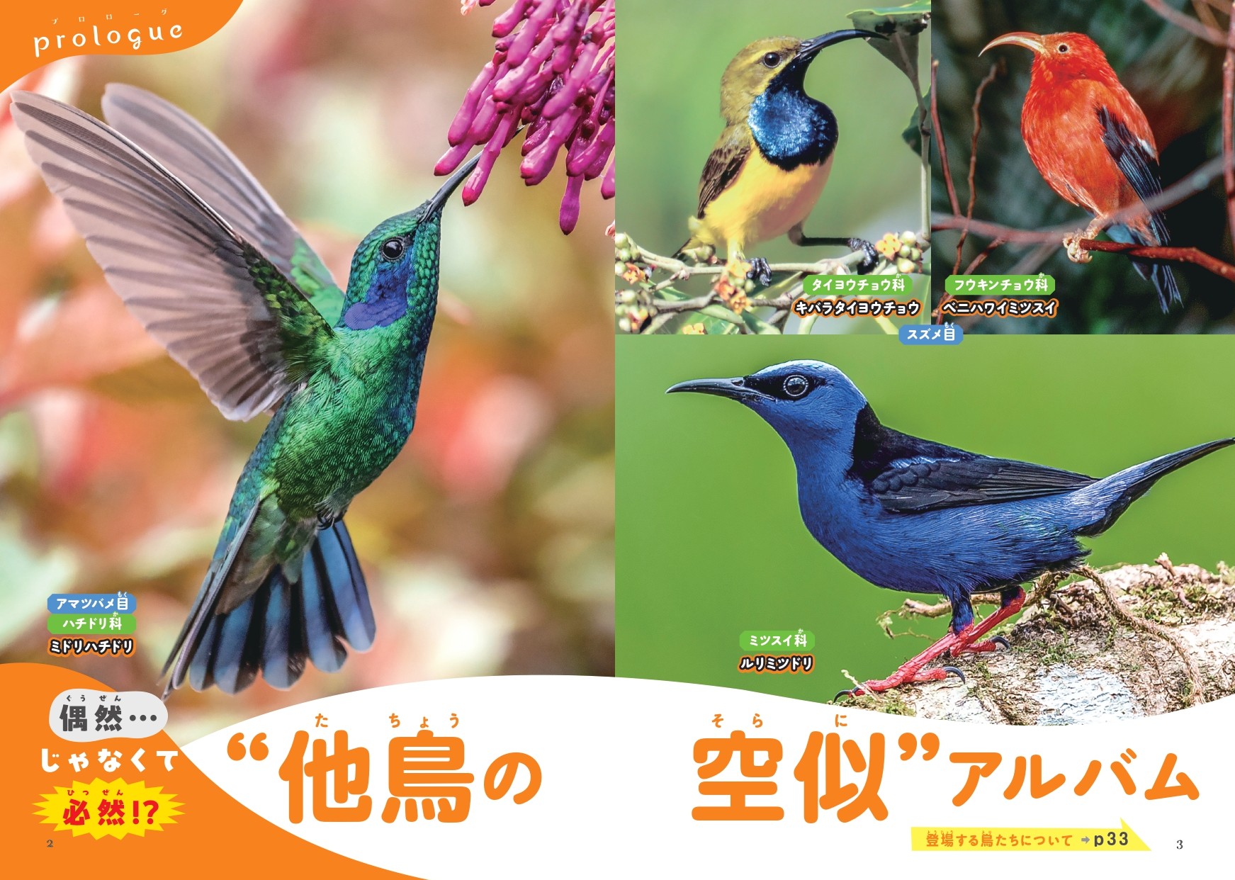 『鳥のなかま＆分類・系統図鑑』が発売の画像