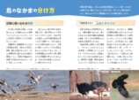 『鳥のなかま＆分類・系統図鑑』が発売の画像