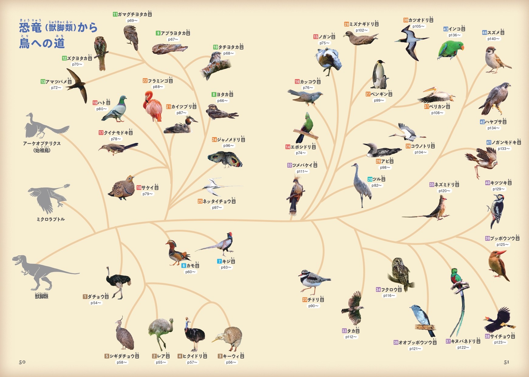 『鳥のなかま＆分類・系統図鑑』が発売の画像