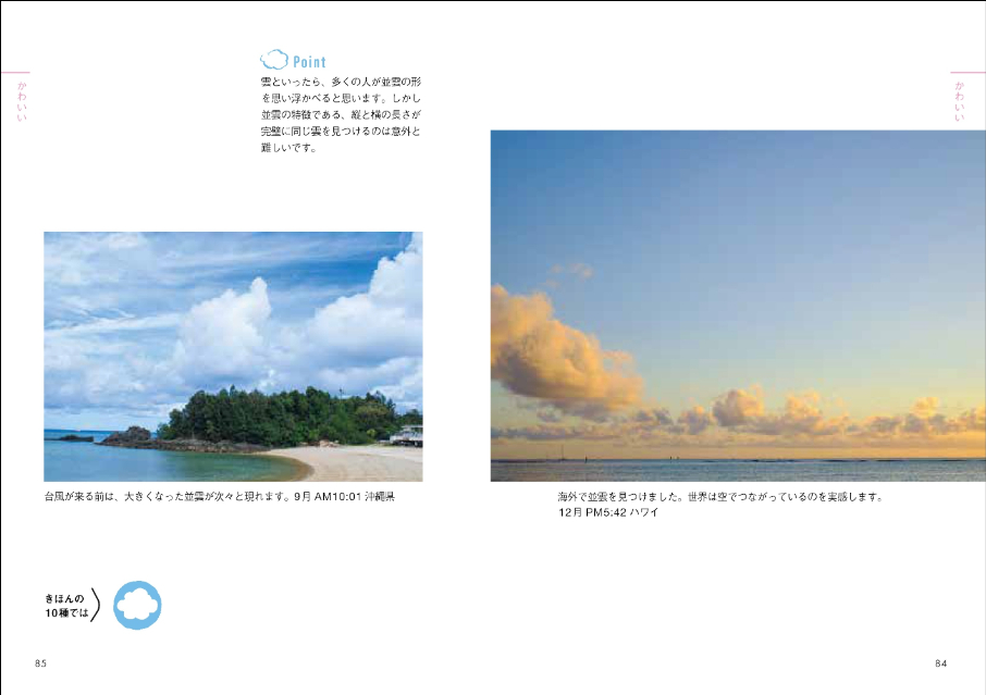 『ときめく図鑑Pokke! ときめく雲図鑑』の画像