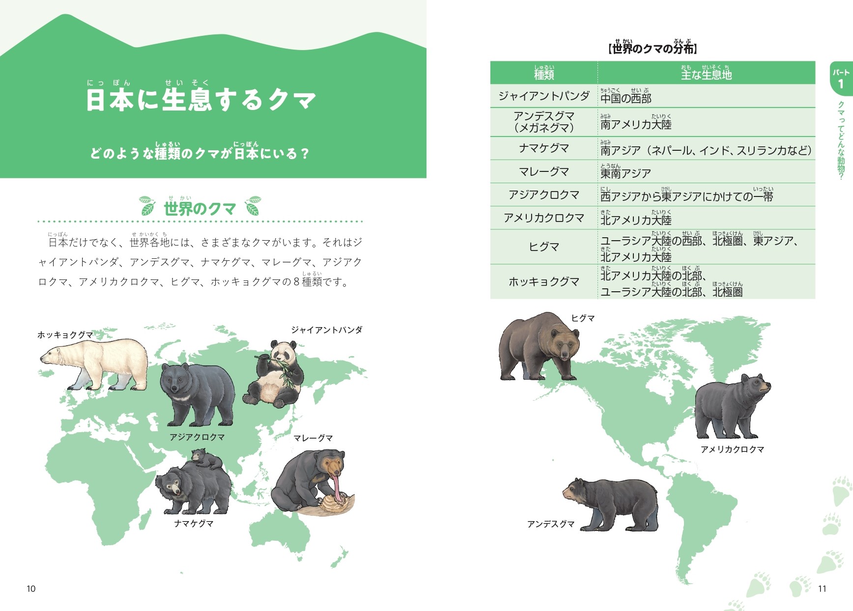 “クマのすべて”がわかる『にっぽんのクマ』が発売の画像