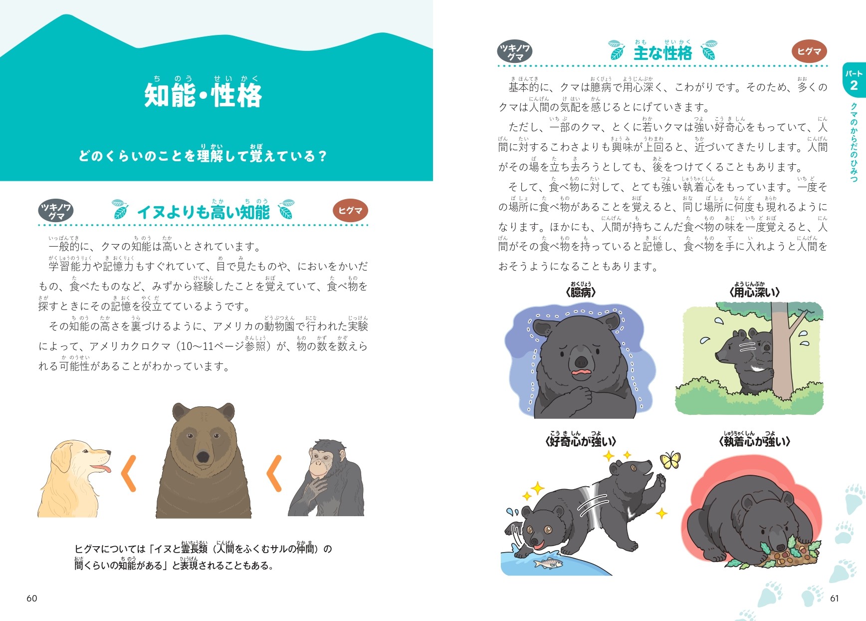 “クマのすべて”がわかる『にっぽんのクマ』が発売の画像