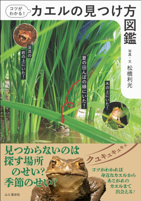 『コツがわかる！カエルの見つけ方図鑑』