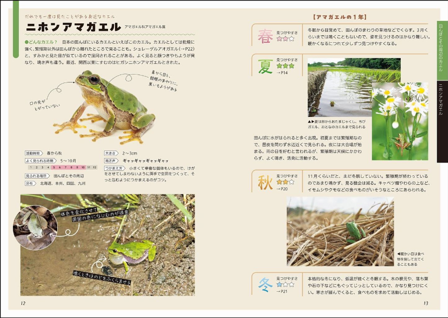 『コツがわかる！カエルの見つけ方図鑑』の画像