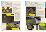 『コツがわかる！カエルの見つけ方図鑑』の画像