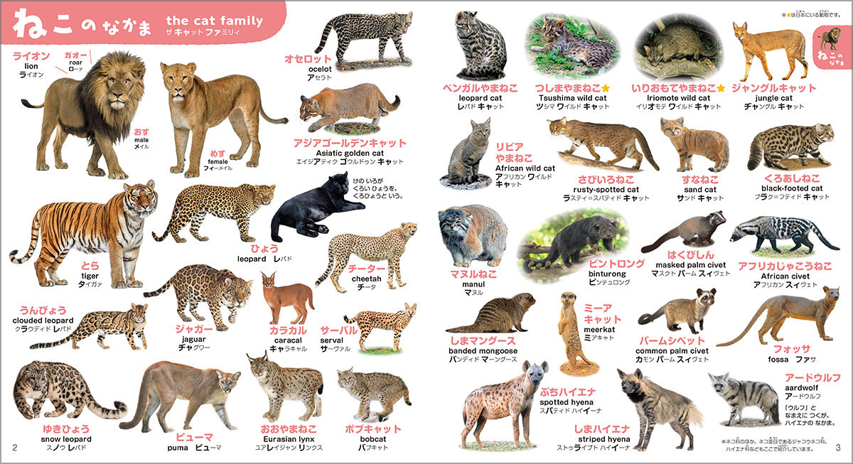 動物いっぱいで楽しく学べる知育図鑑の画像