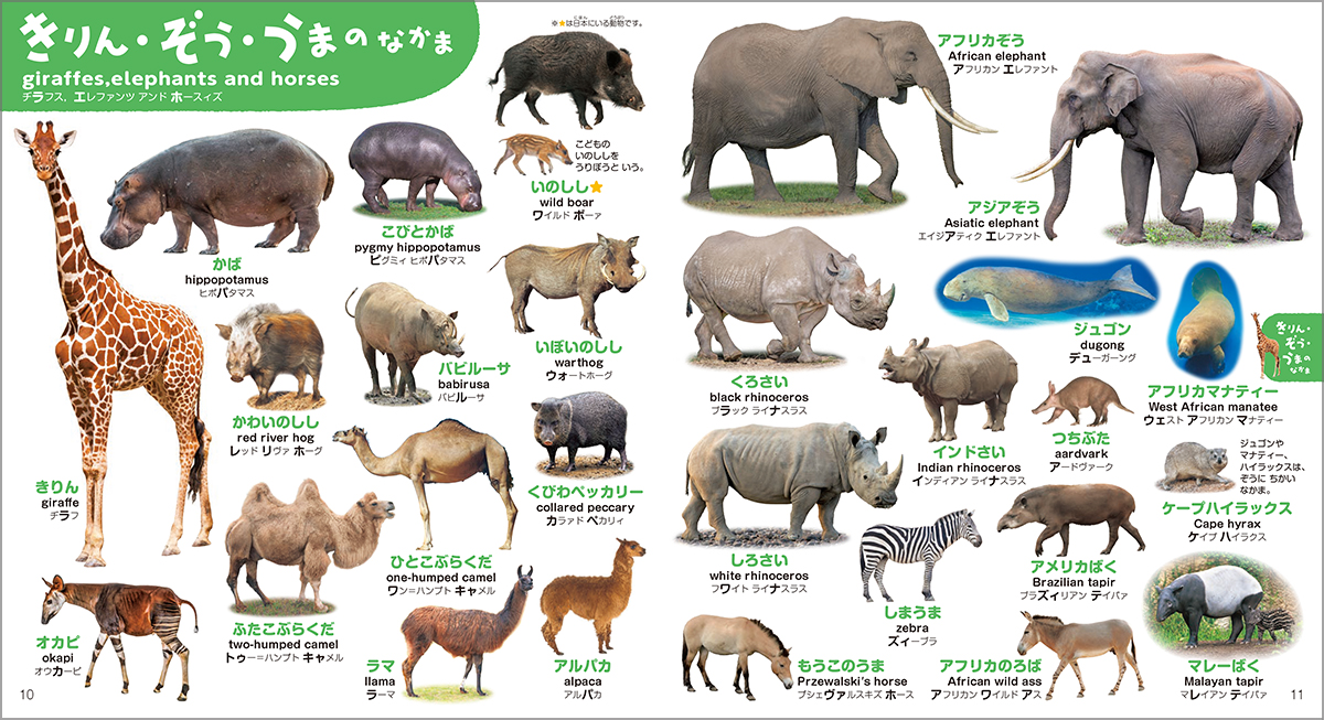 動物いっぱいで楽しく学べる知育図鑑の画像