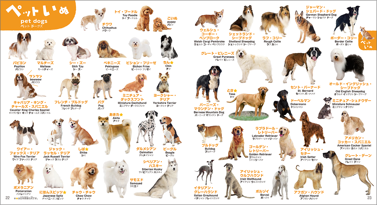 動物いっぱいで楽しく学べる知育図鑑の画像