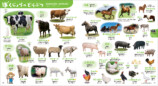動物いっぱいで楽しく学べる知育図鑑の画像
