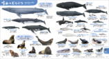 動物いっぱいで楽しく学べる知育図鑑の画像