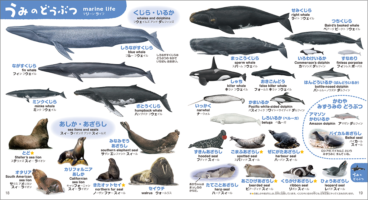 動物いっぱいで楽しく学べる知育図鑑の画像
