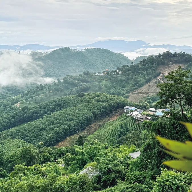 元祖・女子ひとり旅指南本の最新版は「タイ」の画像