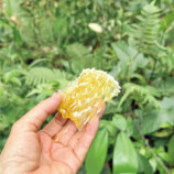 元祖・女子ひとり旅指南本の最新版は「タイ」の画像