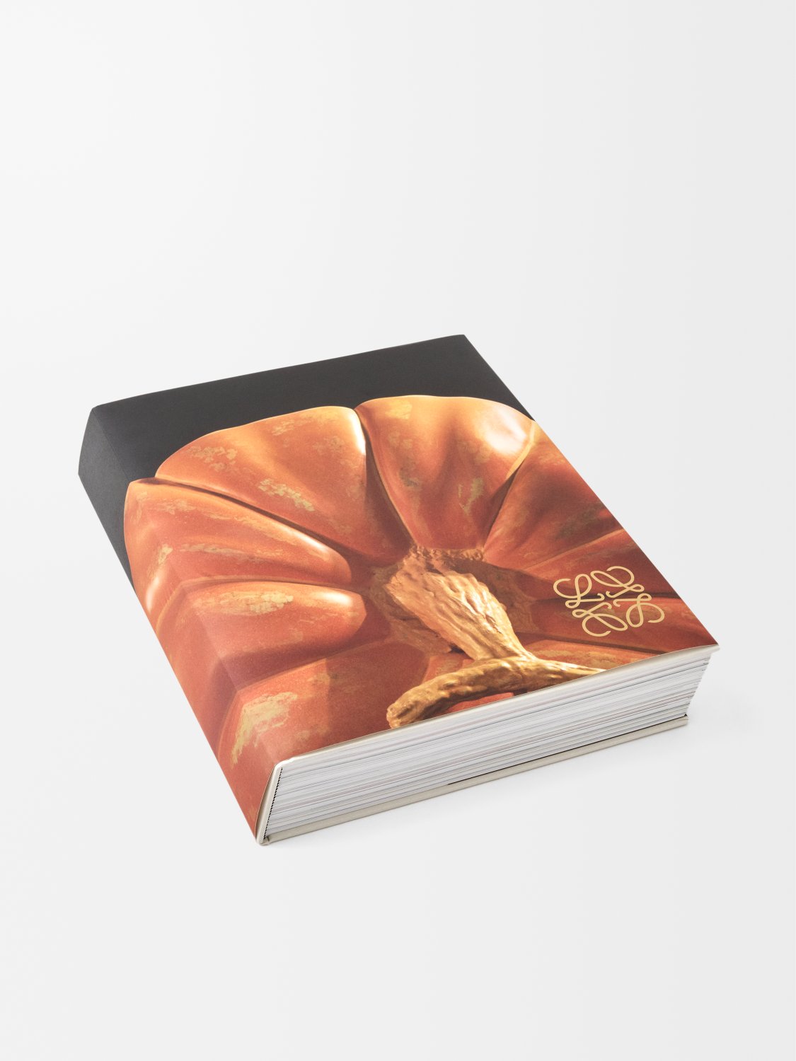 JW・アンダーソンの10年間を収めた大判モノグラフが発売の画像