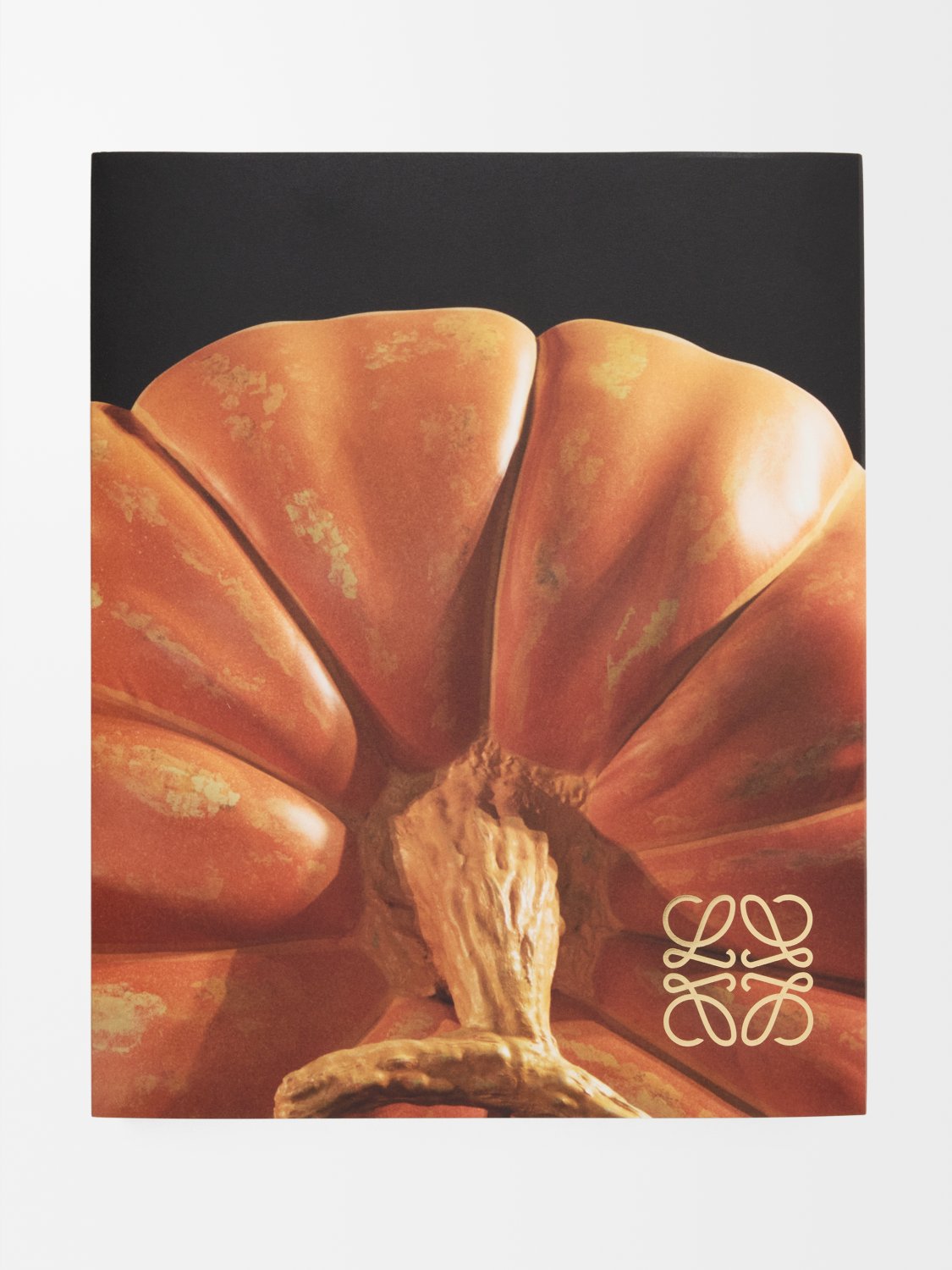 JW・アンダーソンの10年間を収めた大判モノグラフが発売の画像