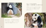 パンダのタンタンと再会できる写真集の画像