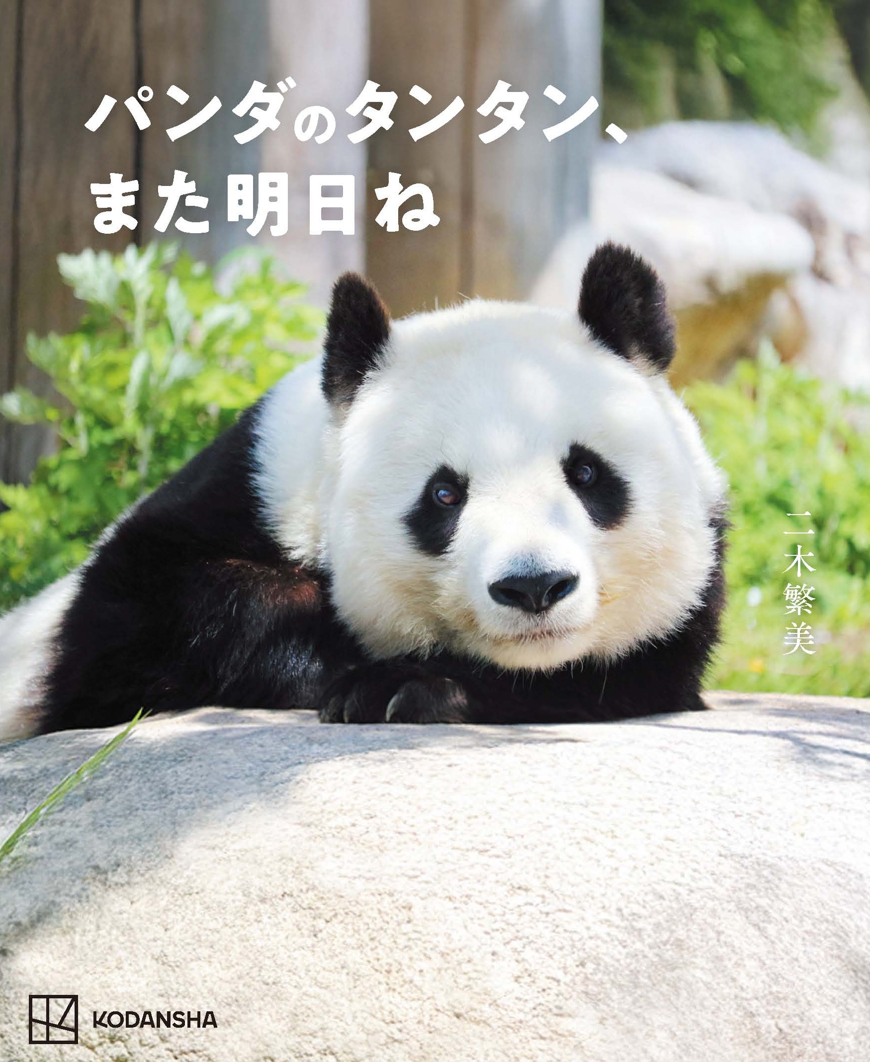 パンダのタンタンと再会できる写真集の画像