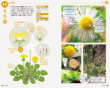 SNSで約2万回植物の名前を答えた著者の書籍とはの画像