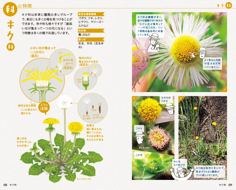 SNSで約2万回植物の名前を答えた著者の書籍とはの画像
