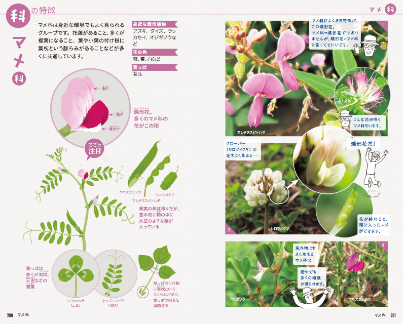 SNSで約2万回植物の名前を答えた著者の書籍とはの画像