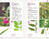 SNSで約2万回植物の名前を答えた著者の書籍とはの画像