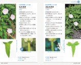SNSで約2万回植物の名前を答えた著者の書籍とはの画像