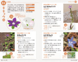 SNSで約2万回植物の名前を答えた著者の書籍とはの画像