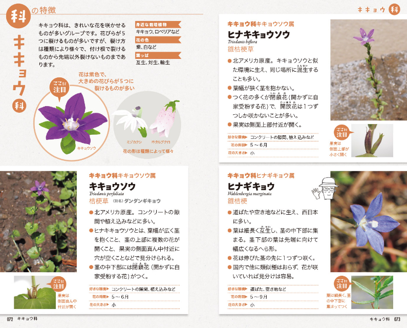 SNSで約2万回植物の名前を答えた著者の書籍とはの画像