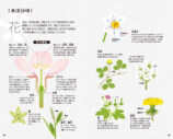 SNSで約2万回植物の名前を答えた著者の書籍とはの画像
