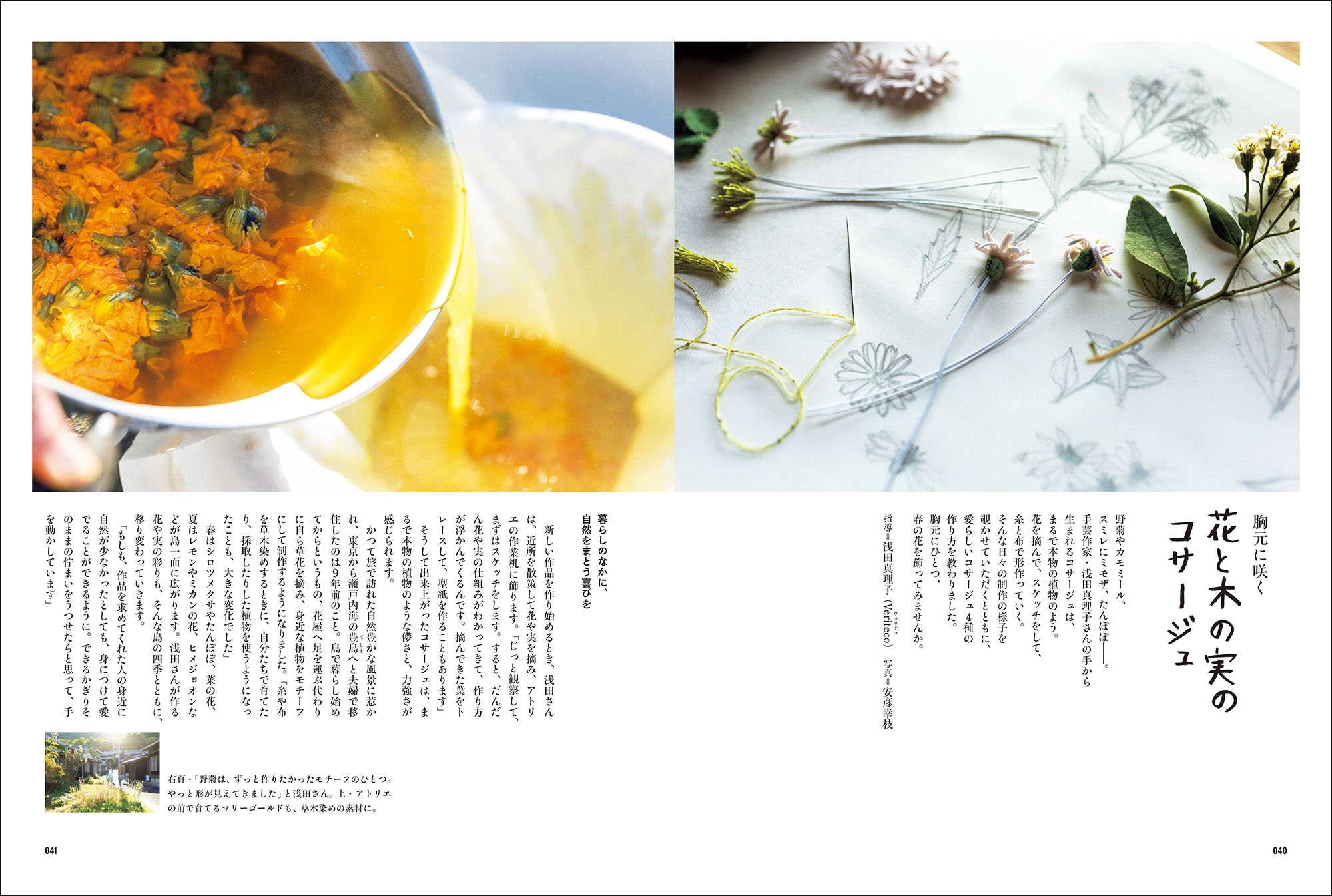 暮しの手帖の画像