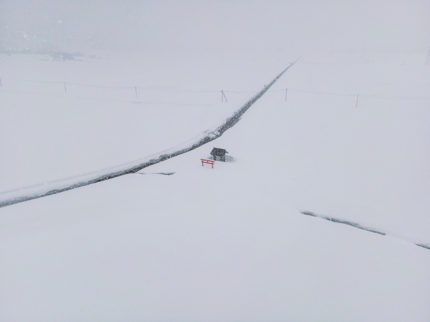 『田んぼのまん中のポツンと神社』の画像