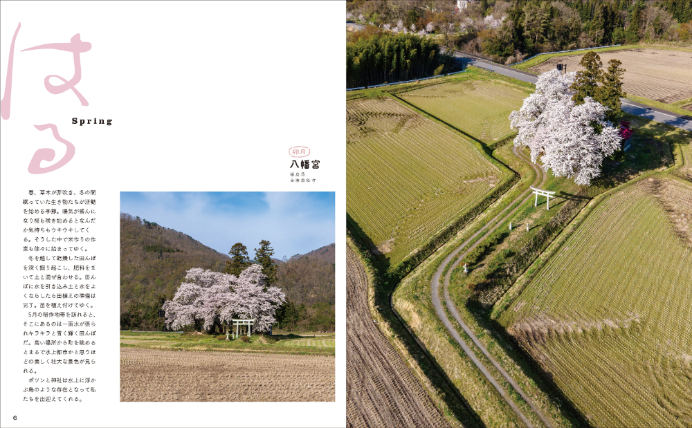 『田んぼのまん中のポツンと神社』の画像