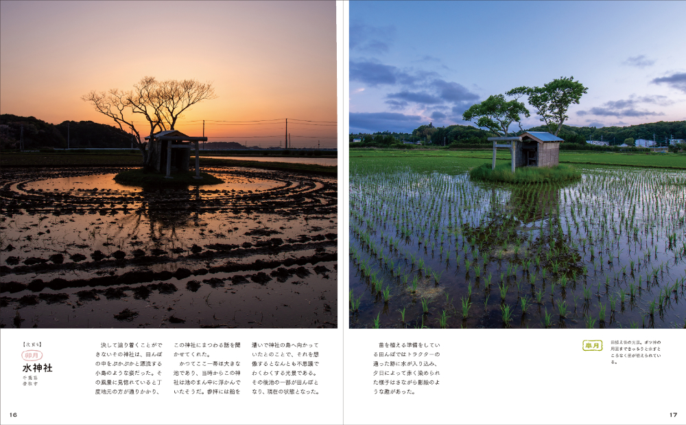 『田んぼのまん中のポツンと神社』の画像