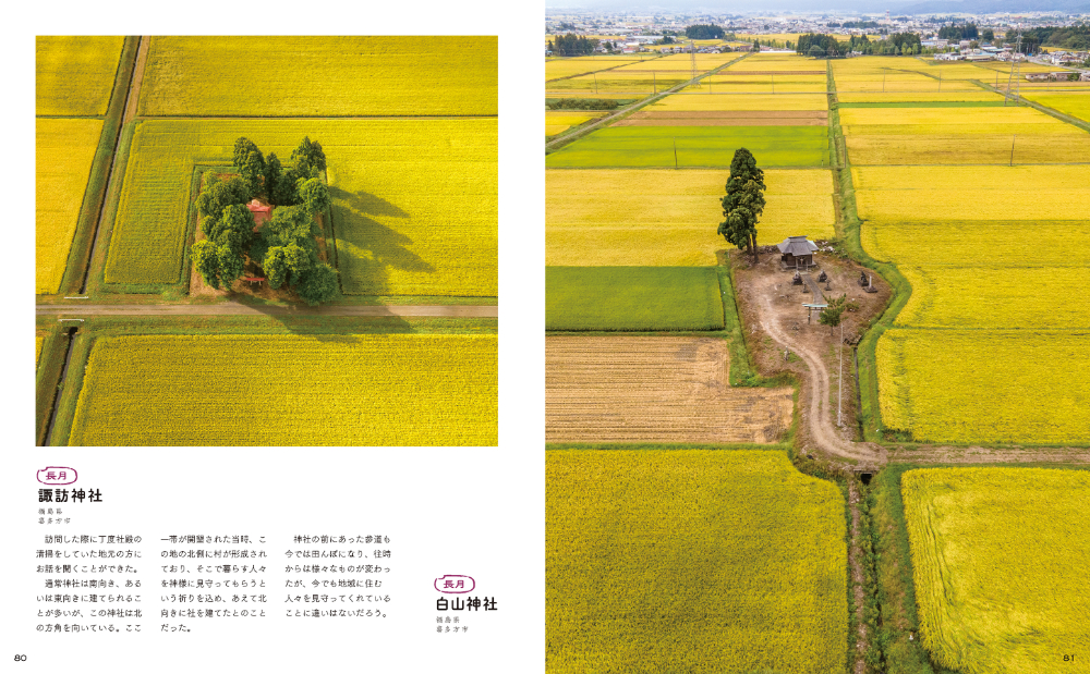 『田んぼのまん中のポツンと神社』の画像