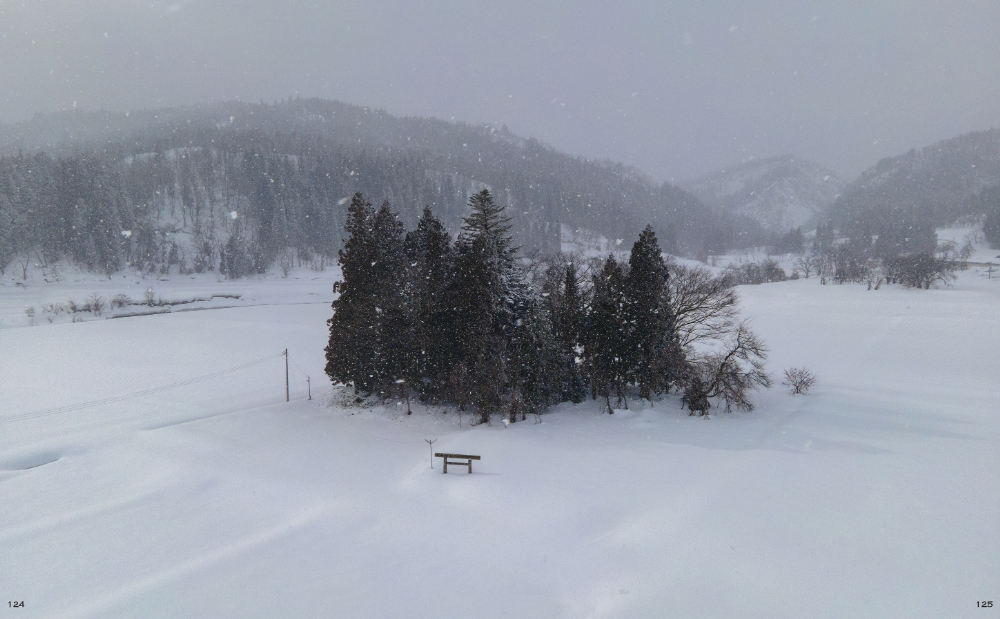 『田んぼのまん中のポツンと神社』の画像