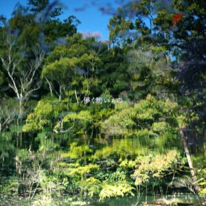 『儚く脆いもの』通常盤