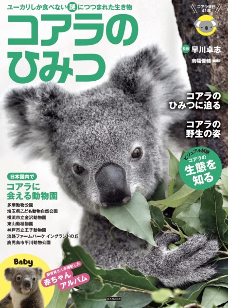 『コアラのひみつ』が発売