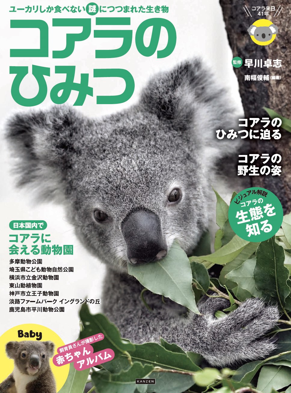 『コアラのひみつ』が発売