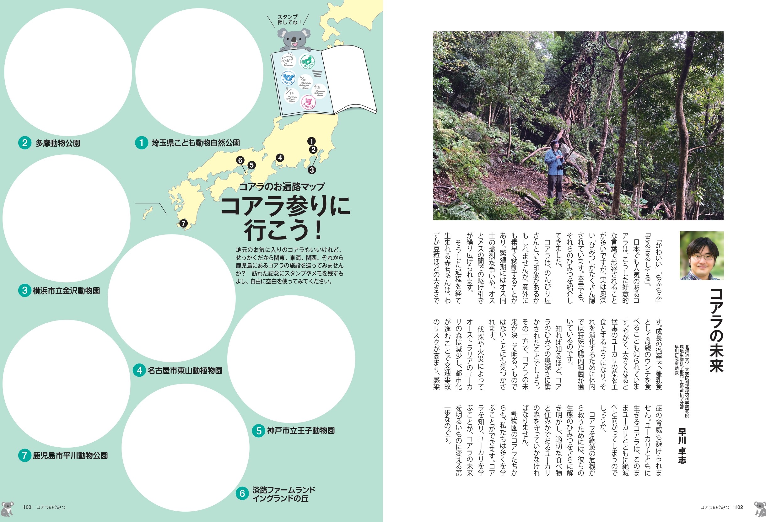 『コアラのひみつ』が発売の画像