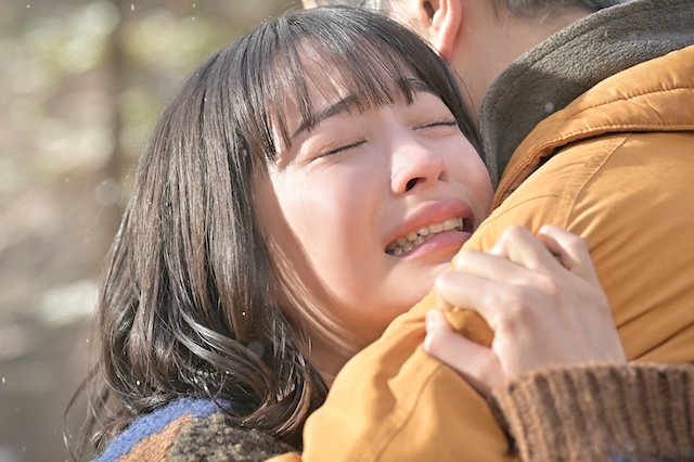 『クジャクのダンス、誰が見た？』の画像