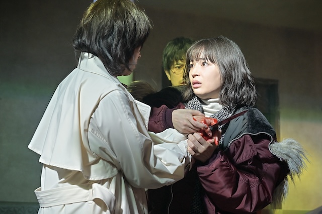 『クジャクのダンス、誰が見た？』の画像