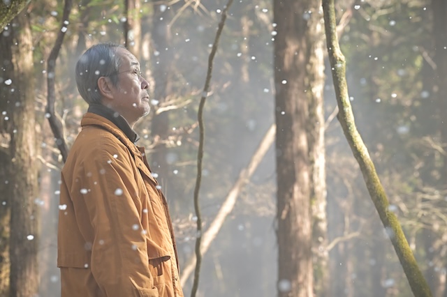 『クジャクのダンス』原作へ敬意示す結末にの画像