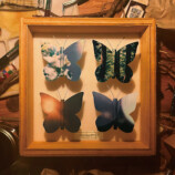 ミニマムジーク、1stアルバムに至るまでの画像