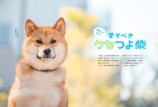 SNSで話題の“クセつよ”柴犬を大特集の画像